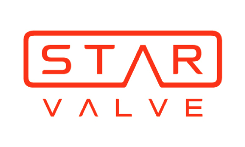 STAR VALVE
